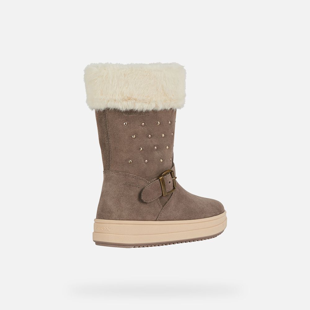 Botas Geox Menina Cinzentas Escuro - Rebecca Wpf - VYCIQ2064